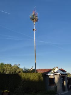 Májka 